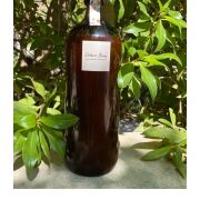 Sisters Brew Kombucha 