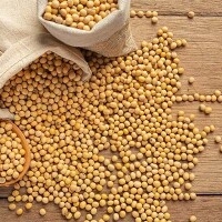 Soybeans 
